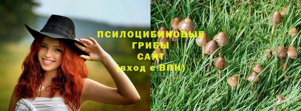 ECSTASY Алексеевка