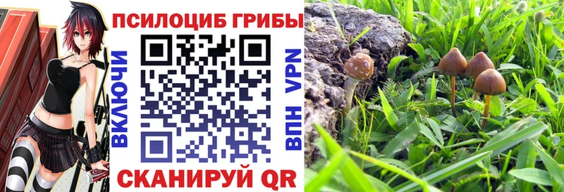 гидра маркетплейс  Тотьма  Псилоцибиновые грибы мухоморы 